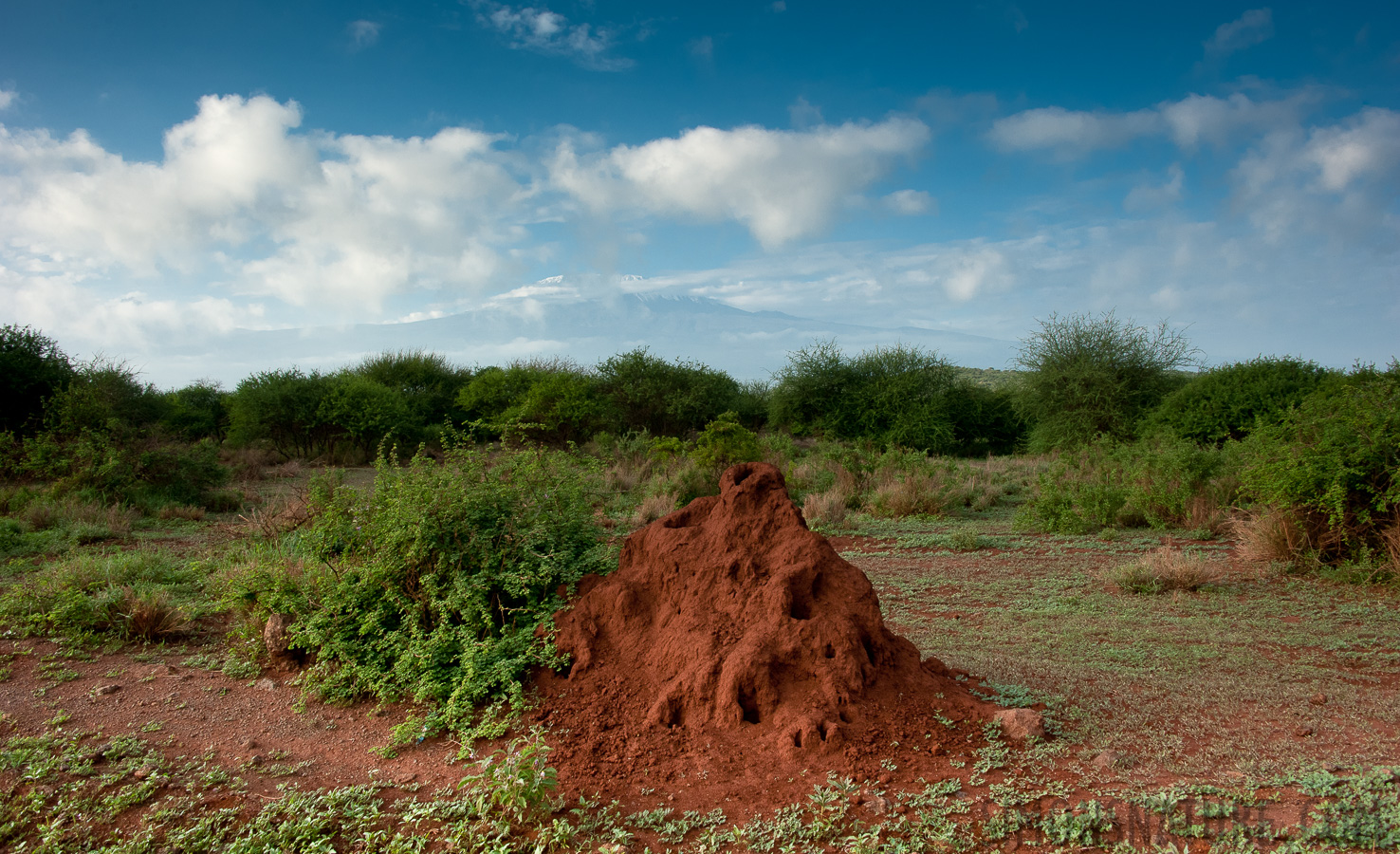 Amboseli National Park [32 mm, 1/320 sec at f / 13, ISO 400]