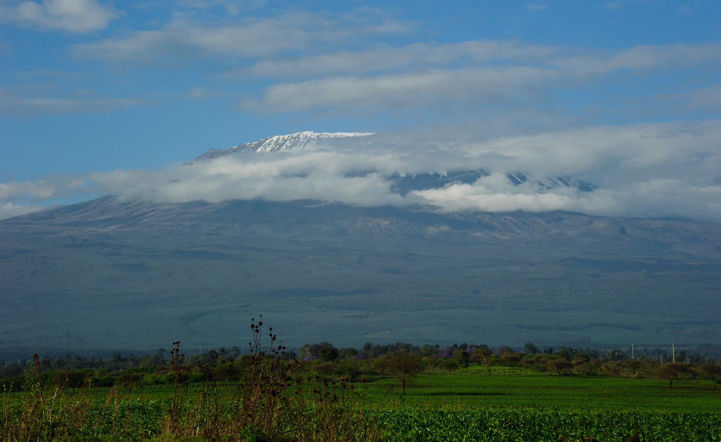 Amboseli National Park [105 mm, 1/250 sec at f / 18, ISO 400]