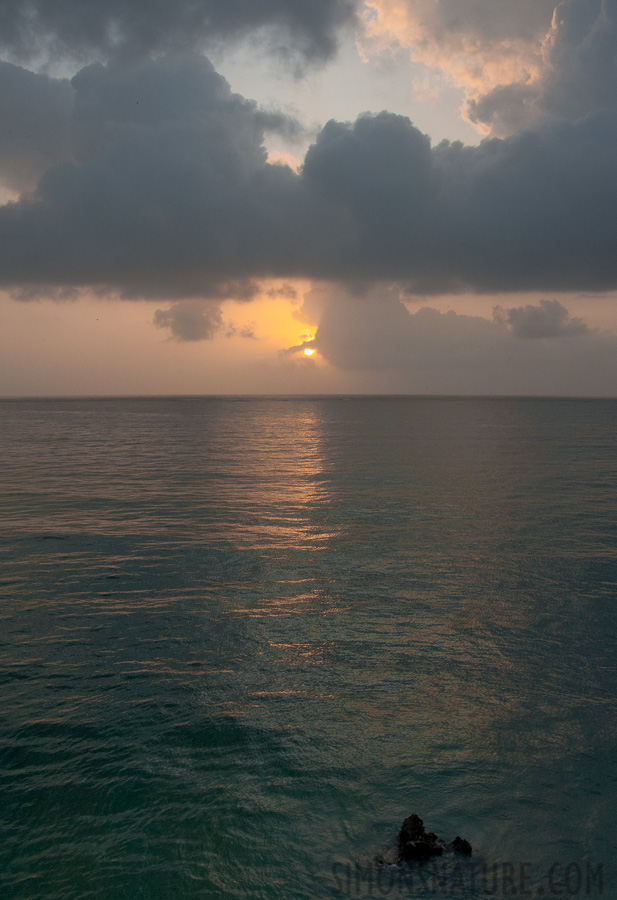 Mombasa [28 mm, 1/500 sec at f / 14, ISO 1600]