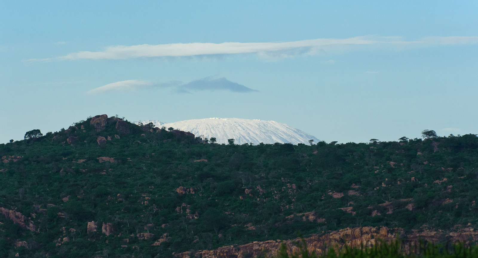 Tsavo West Nationalpark [280 mm, 1/5000 Sek. bei f / 6.3, ISO 2500]