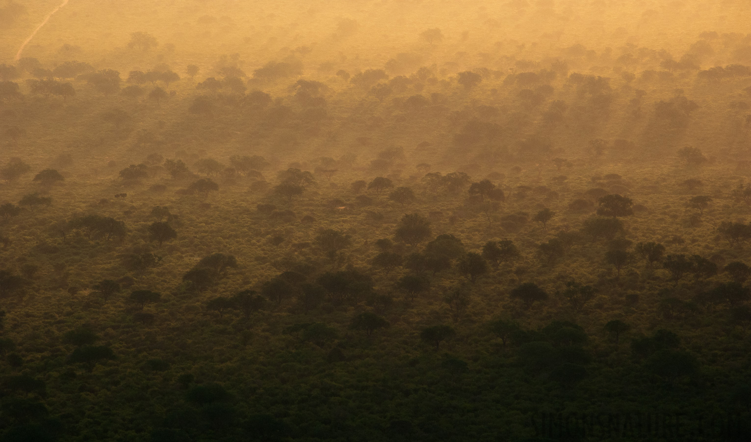 Tsavo West Nationalpark [300 mm, 1/200 Sek. bei f / 14, ISO 2500]