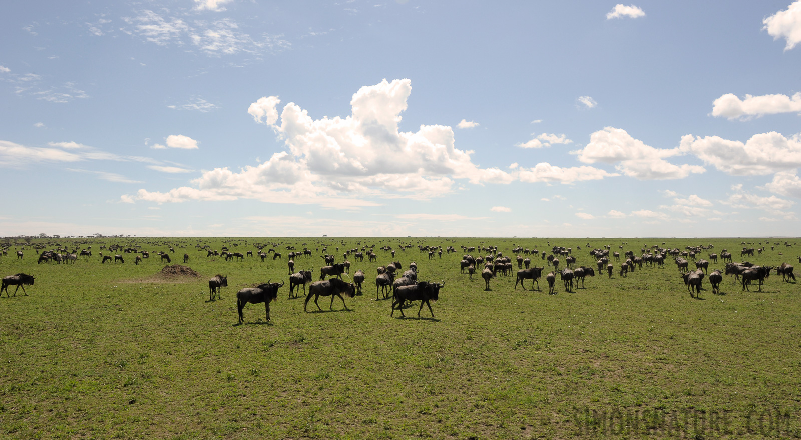 Tanzania [24 mm, 1/400 sec at f / 16, ISO 500]