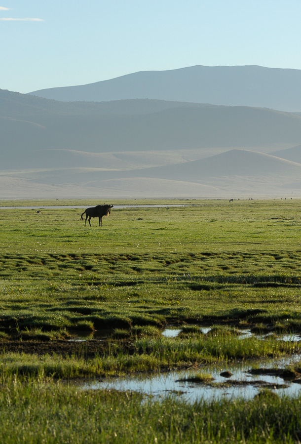 Tanzania [200 mm, 1/400 sec at f / 13, ISO 640]