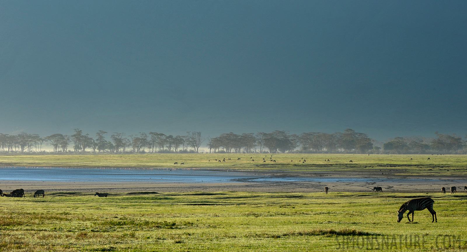 Tanzania [200 mm, 1/200 sec at f / 13, ISO 640]