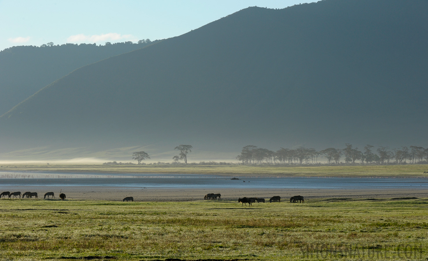 Tanzania [200 mm, 1/400 sec at f / 13, ISO 640]