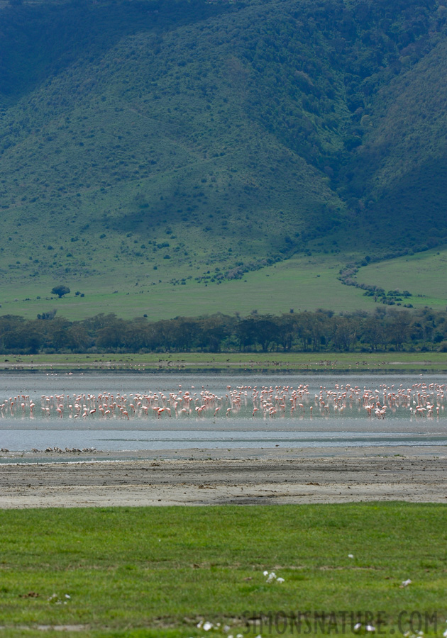 Tanzania [300 mm, 1/500 sec at f / 11, ISO 500]