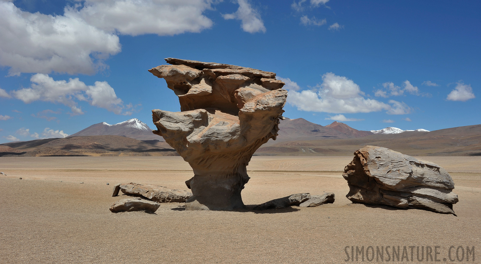 Tree stone [48 mm, 1/200 sec at f / 16, ISO 200]