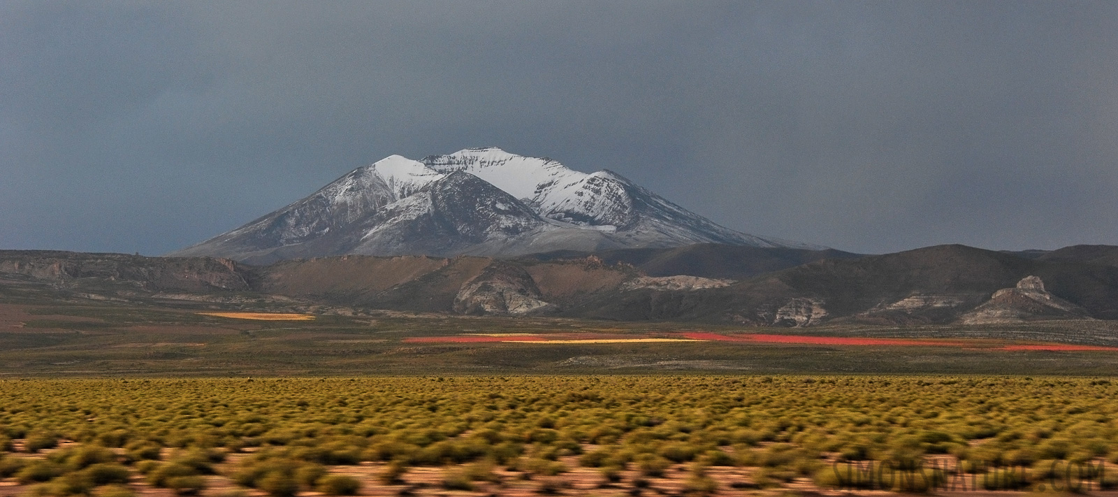 Quinoa fields in front of a snow covered mountain [98 mm, 1/125 sec at f / 8.0, ISO 1600]