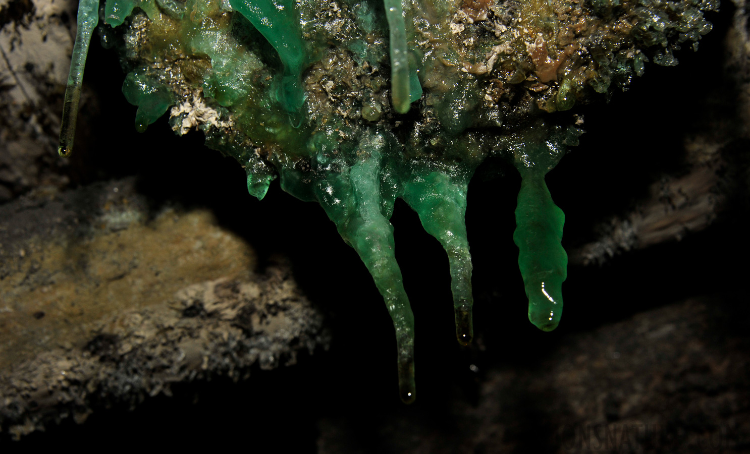 Mineralien und Ablagerungen [68 mm, 1/60 Sek. bei f / 10, ISO 400]