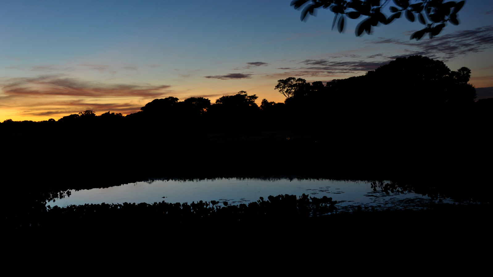 Pantanal [48 mm, 2.0 sec at f / 9.0, ISO 400]