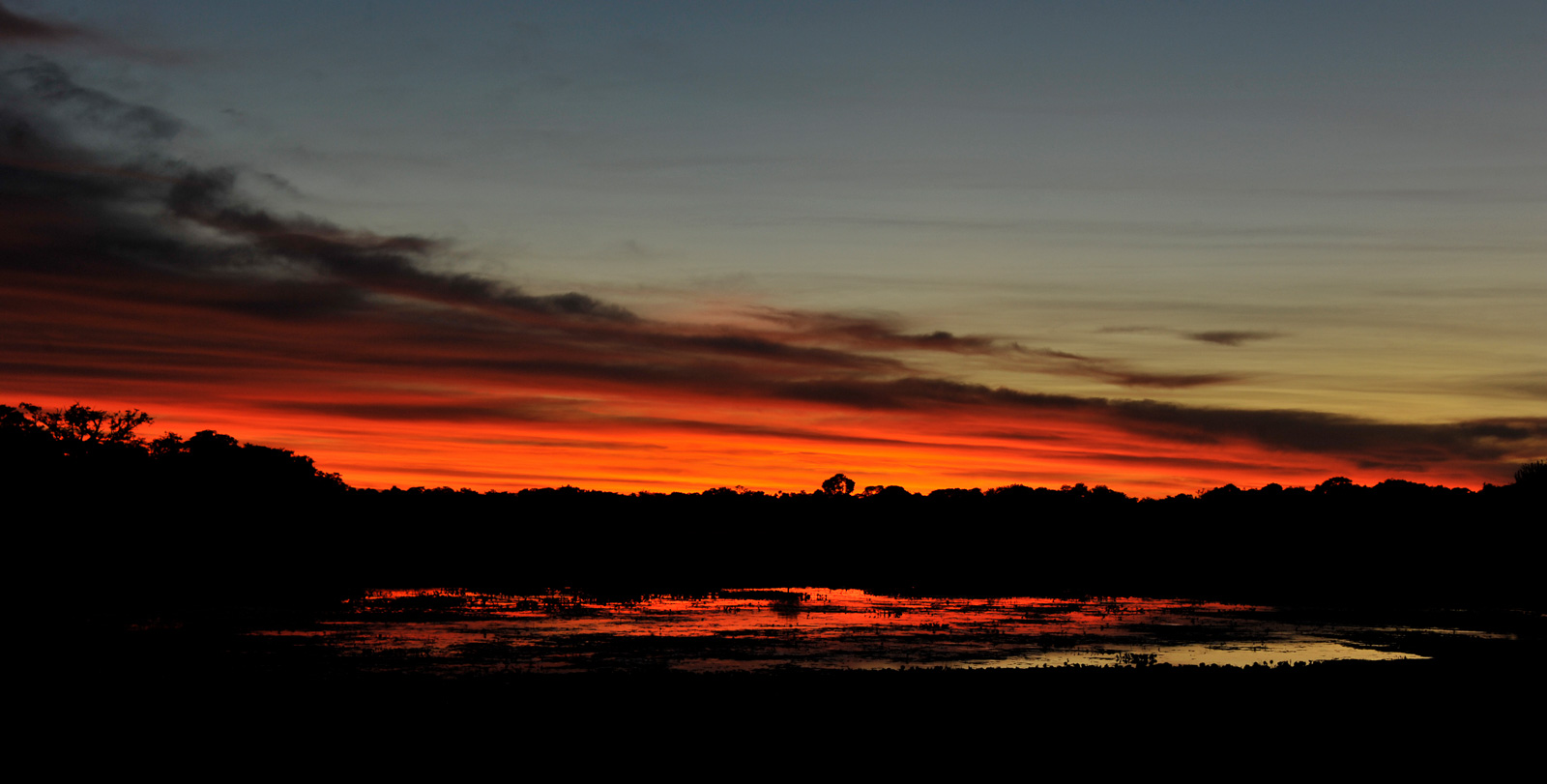 Pantanal [68 mm, 1/20 sec at f / 9.0, ISO 400]