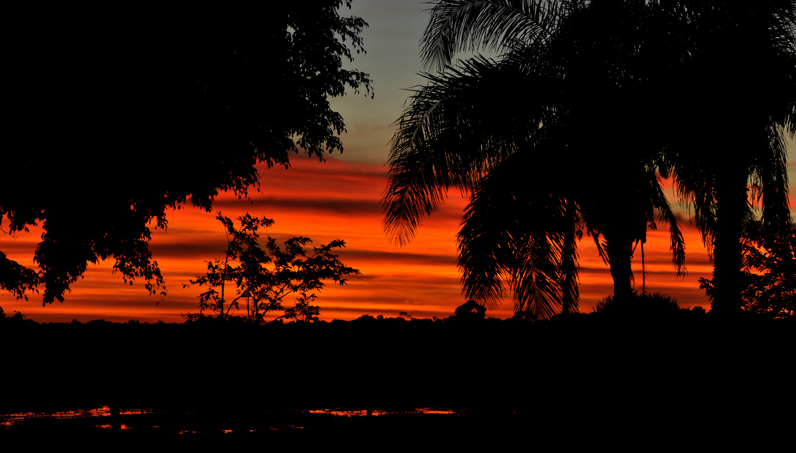 Pantanal [135 mm, 1/40 Sek. bei f / 9.0, ISO 400]