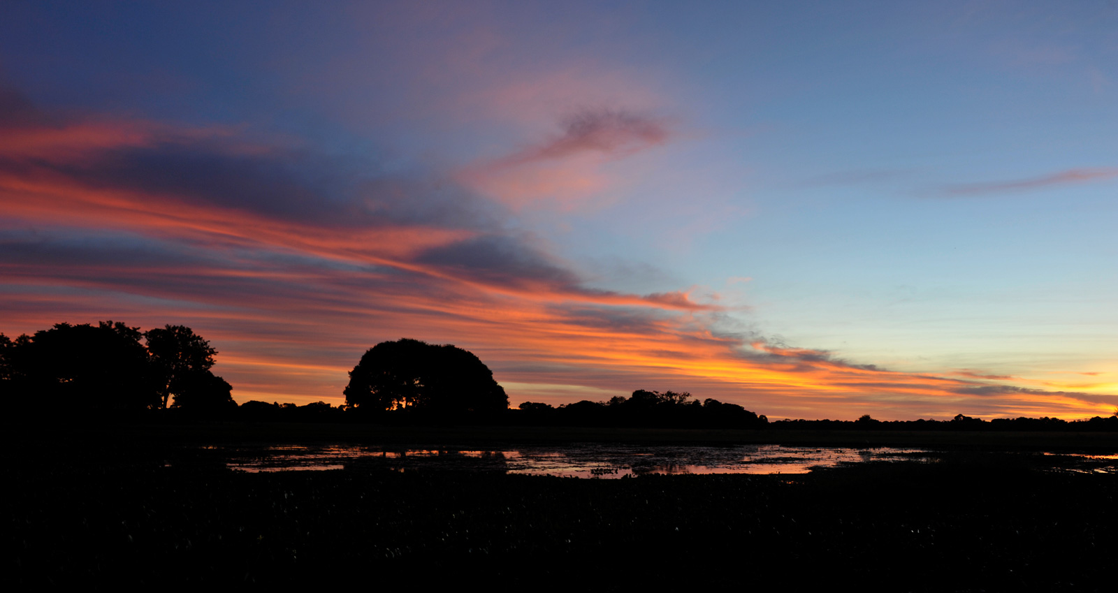 Pantanal [28 mm, 1/25 sec at f / 9.0, ISO 400]