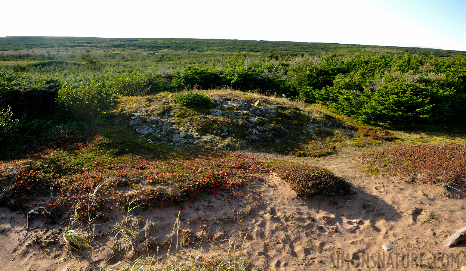 7500 year old grave, the oldest in North America [28 mm, 1/125 sec at f / 9.0, ISO 400]