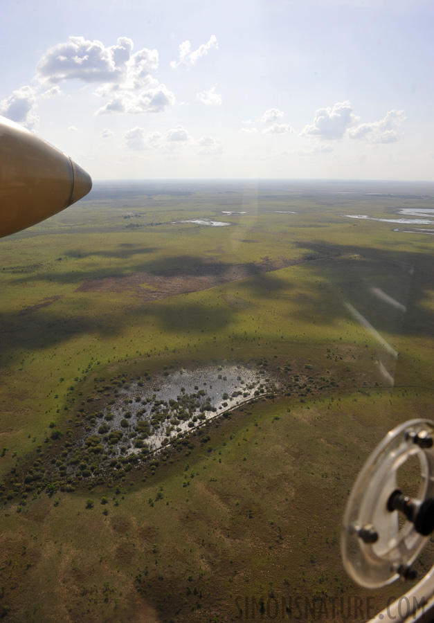 Karanambu Ranch 