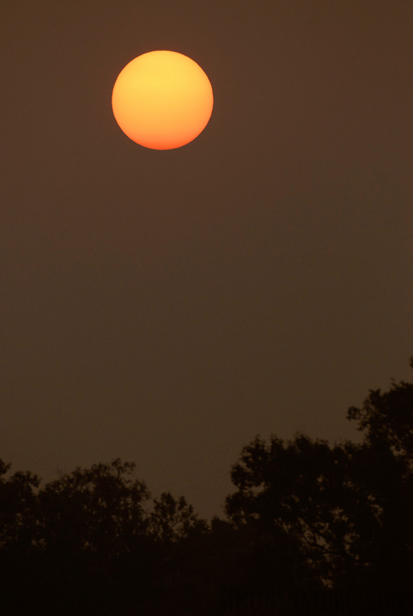 [400 mm, 1/2000 Sek. bei f / 5.0, ISO 400]