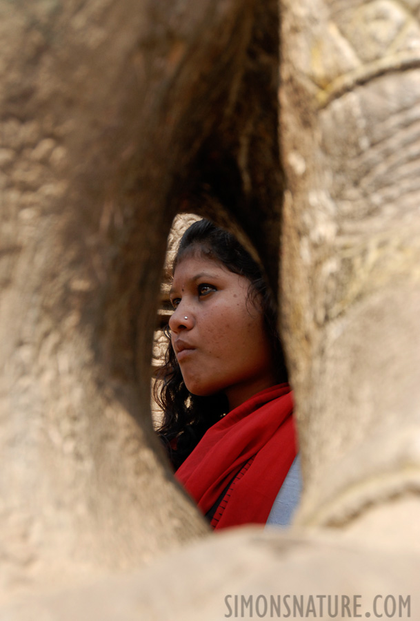 Bhaktapur [70 mm, 1/250 sec at f / 8.0, ISO 400]