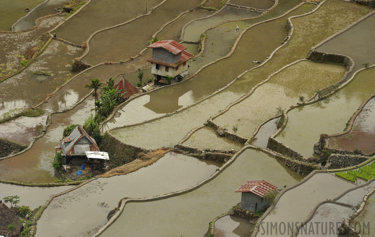 Batad [250 mm, 1/200 sec at f / 10, ISO 400]