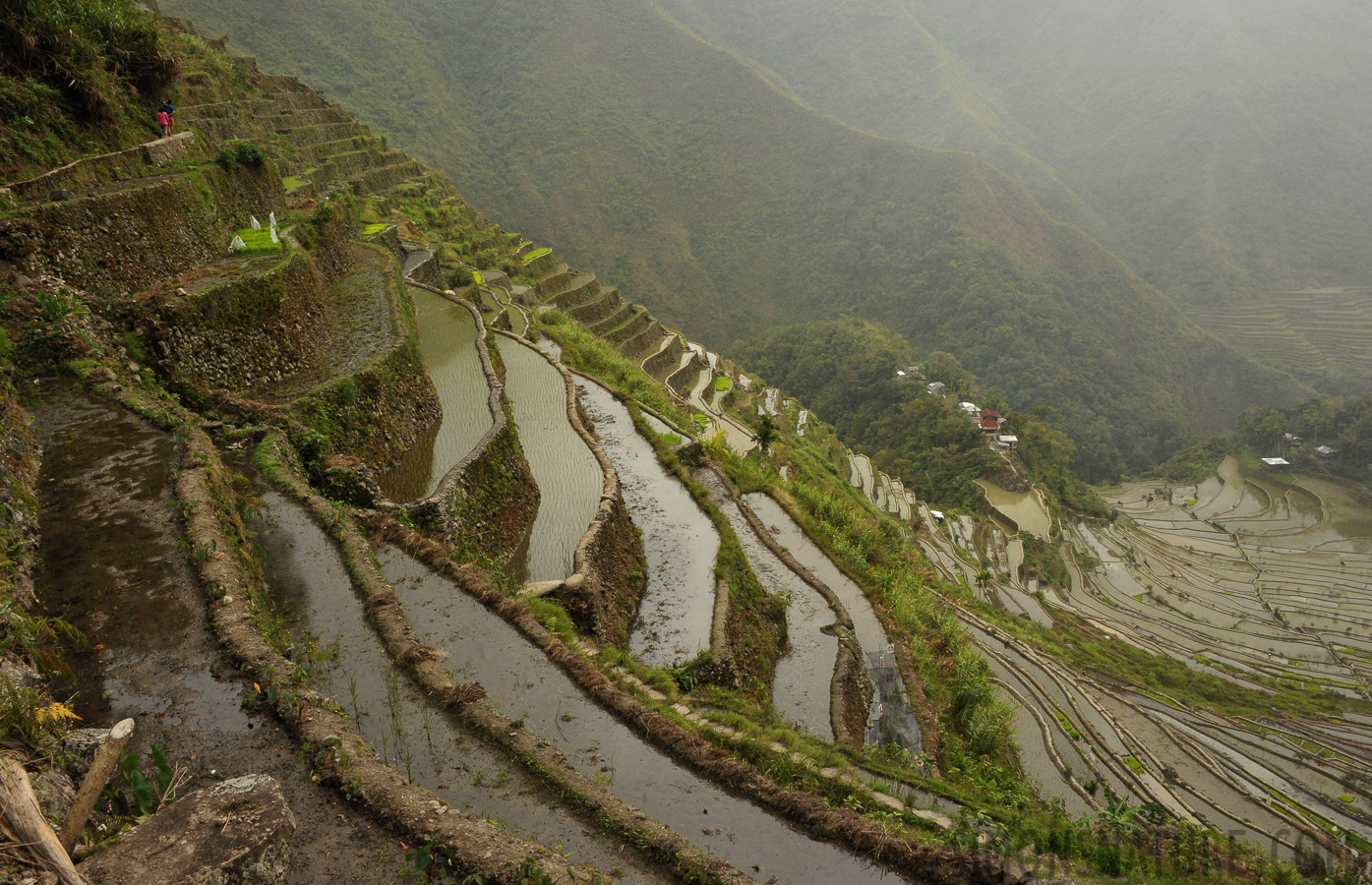 Batad [28 mm, 1/250 sec at f / 18, ISO 1600]