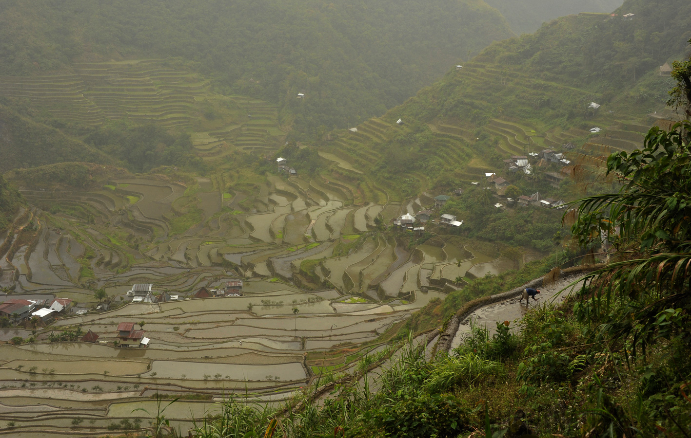 Batad [48 mm, 1/400 sec at f / 11, ISO 800]