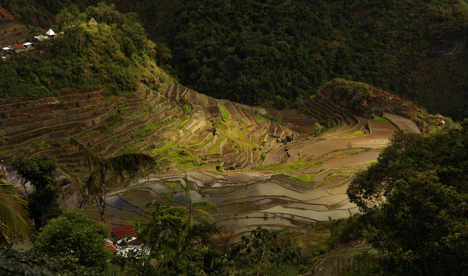 Batad [58 mm, 1/320 sec at f / 8.0, ISO 200]