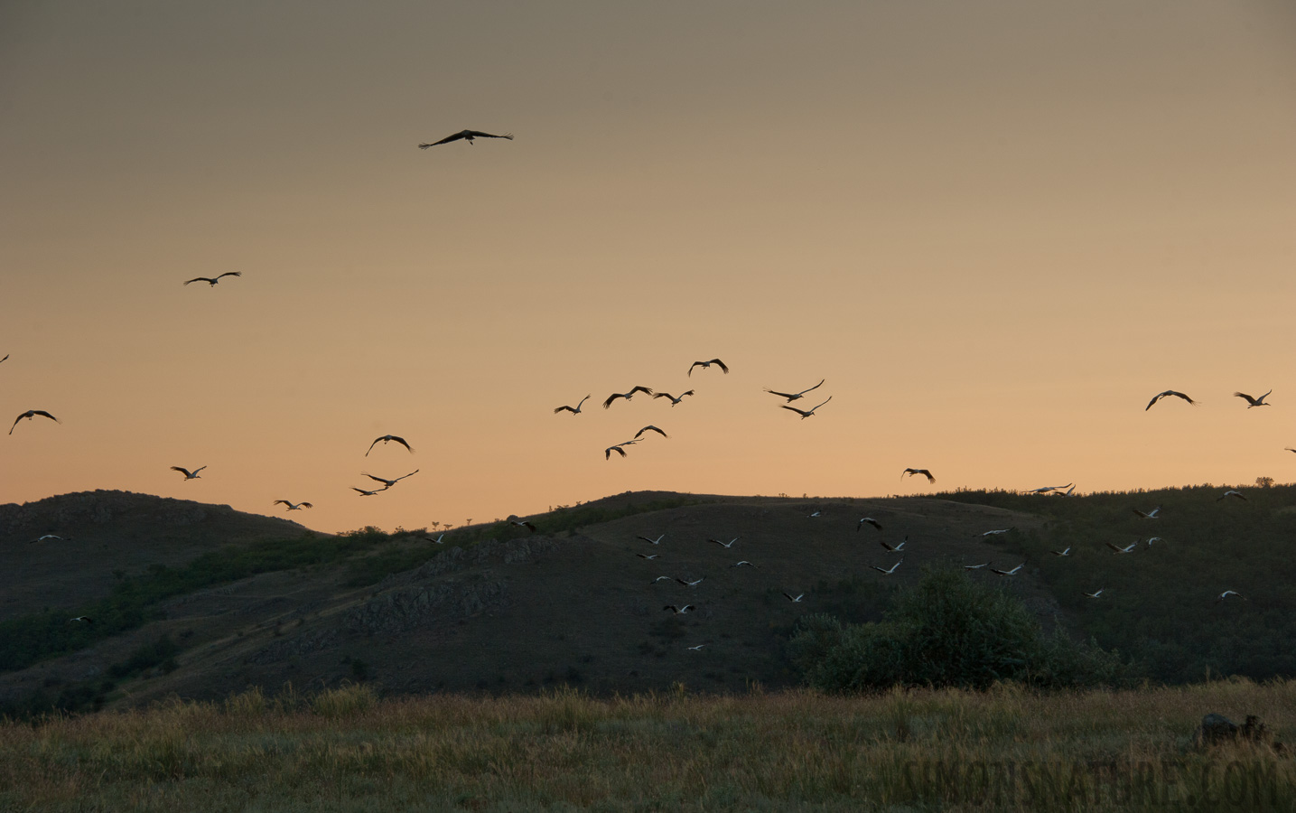 [116 mm, 1/800 sec at f / 8.0, ISO 400]