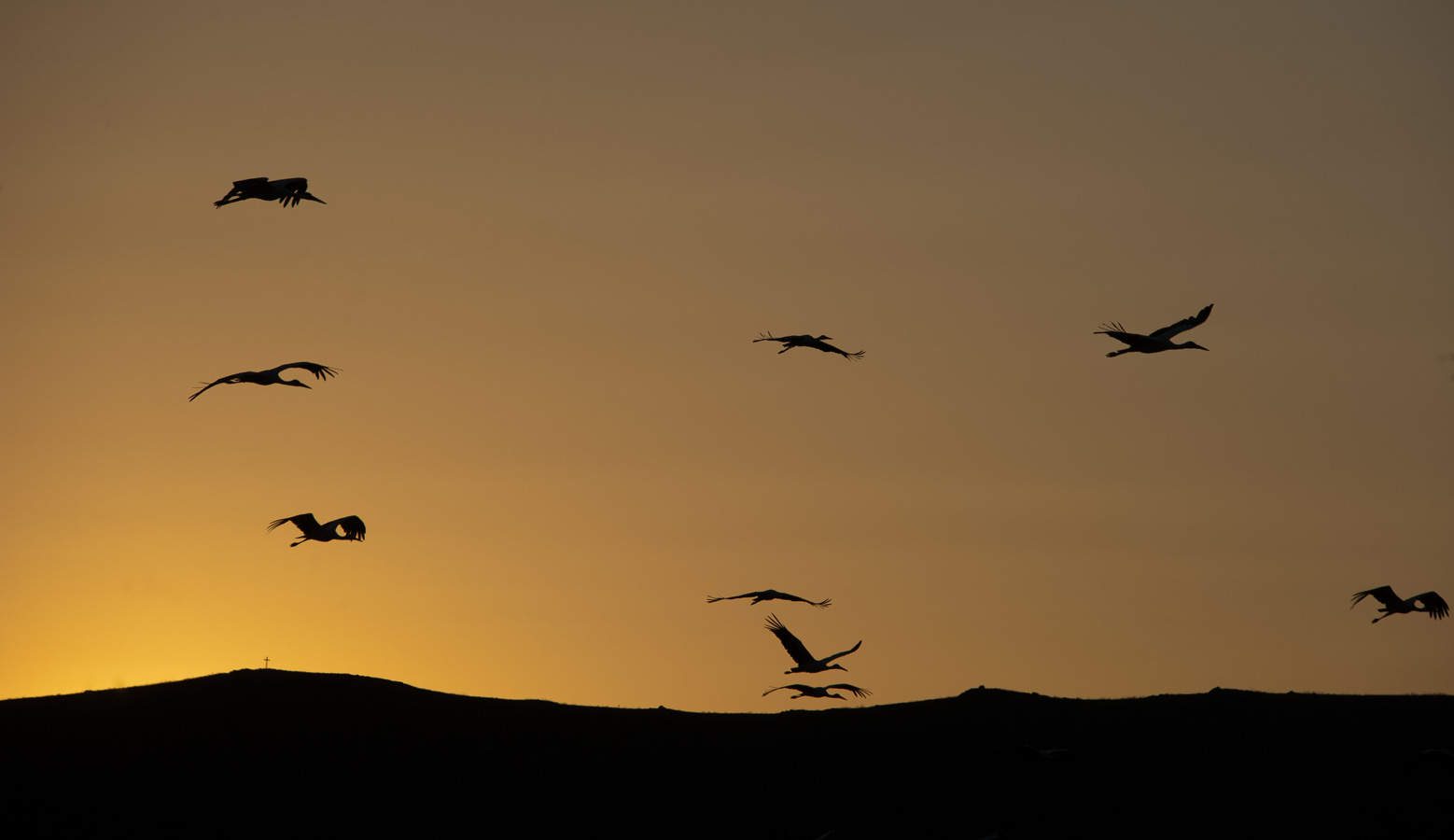 Rumänien -  [210 mm, 1/1600 Sek. bei f / 8.0, ISO 400]