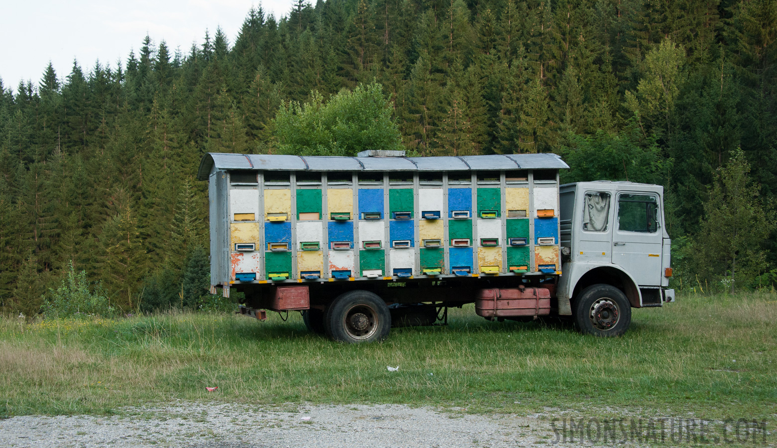 Rumänien - Bienenkästen [50 mm, 1/400 Sek. bei f / 9.0, ISO 1600]