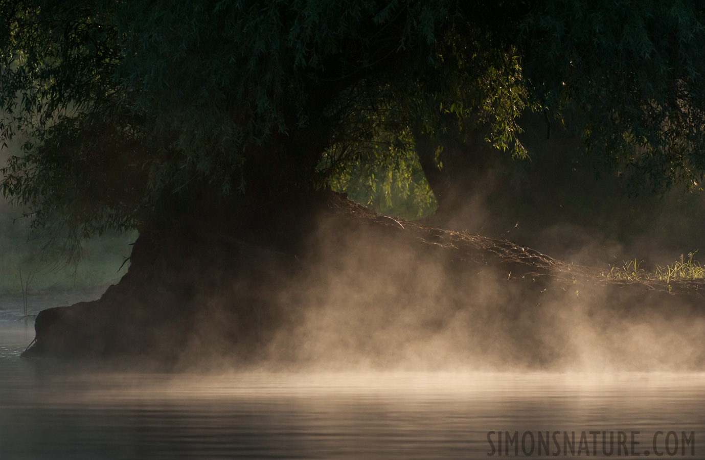 Rumänien -  [280 mm, 1/4000 Sek. bei f / 8.0, ISO 2500]