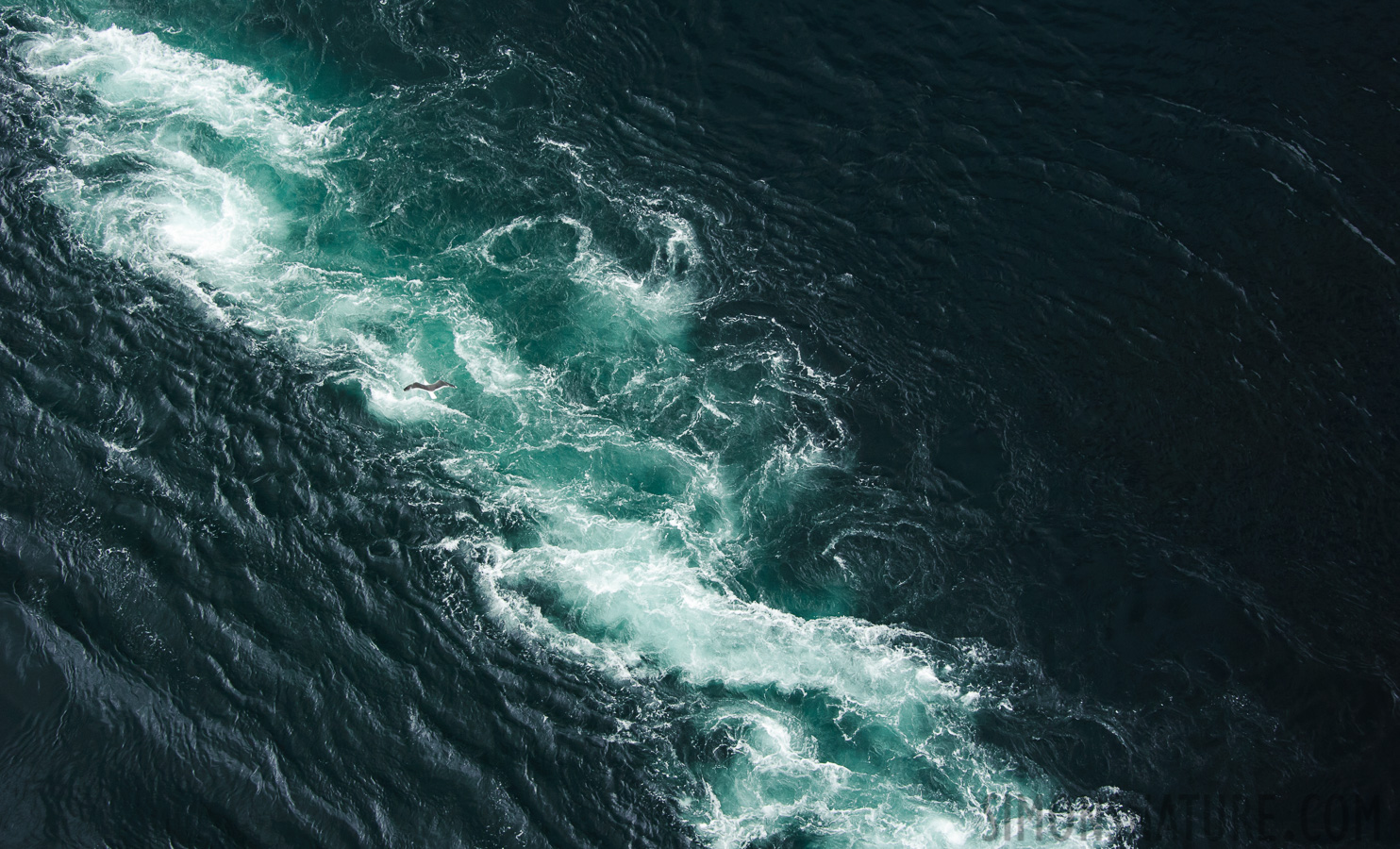 Strongest tidal currents in the world [65 mm, 1/640 sec at f / 8.0, ISO 1600]