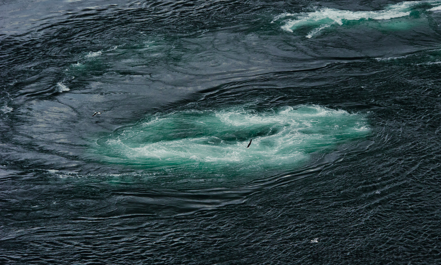 Strongest tidal currents in the world [145 mm, 1/4000 sec at f / 9.0, ISO 1600]