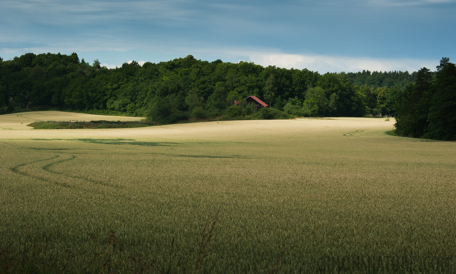 [105 mm, 1/200 Sek. bei f / 20, ISO 400]