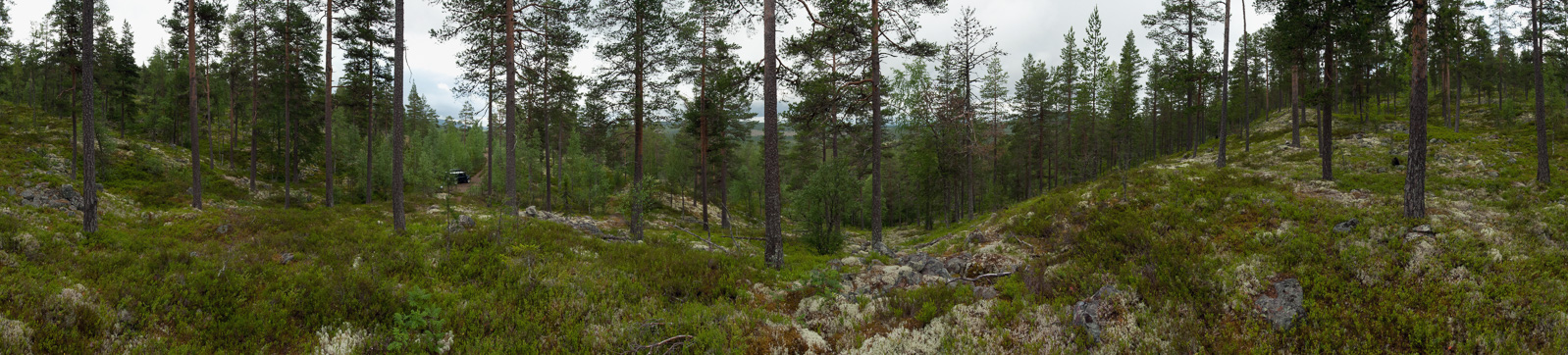 [14 mm, 1/160 Sek. bei f / 22, ISO 1600]