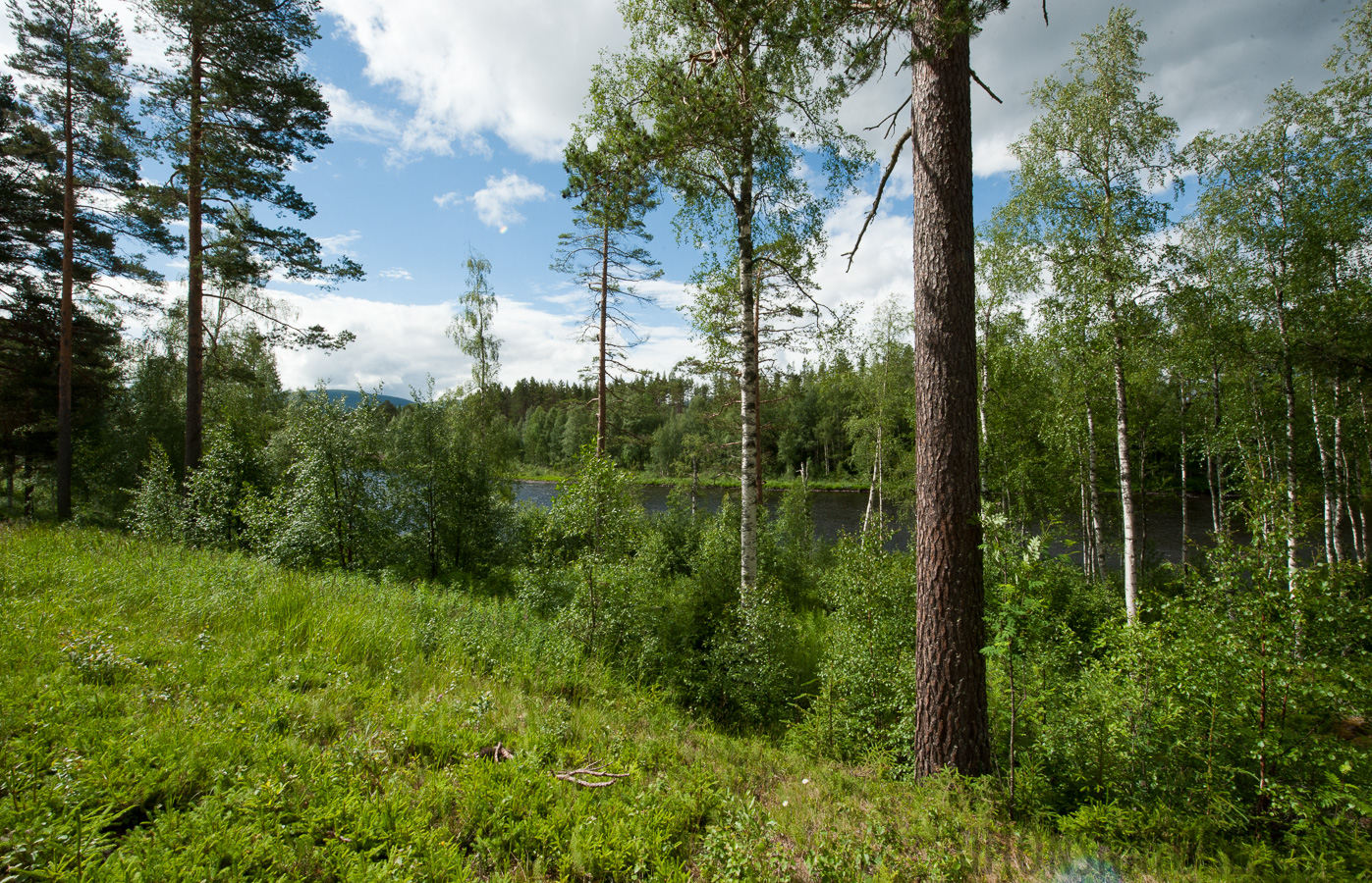 [14 mm, 1/250 Sek. bei f / 22, ISO 500]