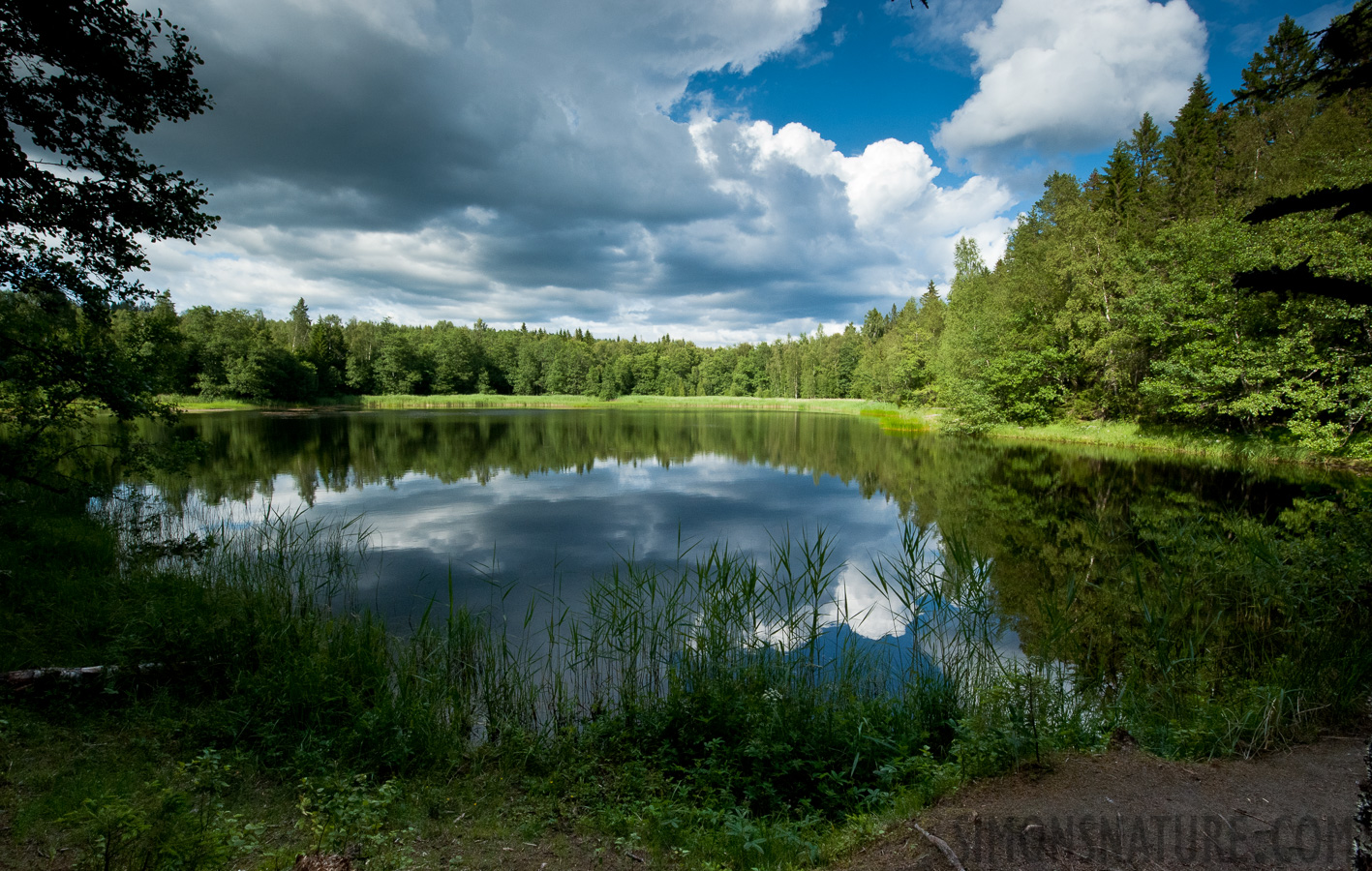 [14 mm, 1/400 Sek. bei f / 22, ISO 1600]