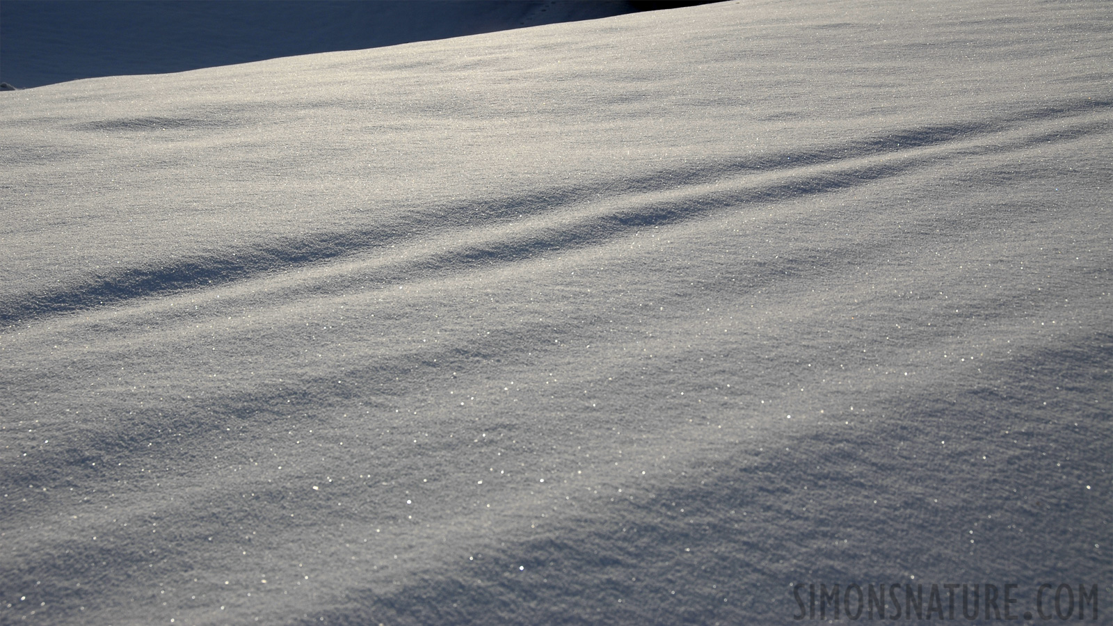 Schnee auf dem Etzel 